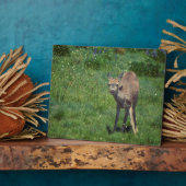 製造顔 フォトプラーク (側面)