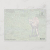 製造顔 ポストカード (裏面)