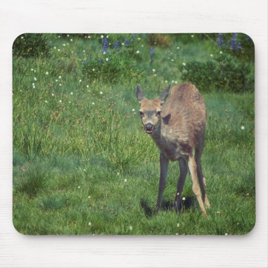 製造顔 マウスパッド (正面)