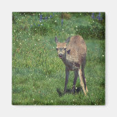 製造顔 マグネット (正面)