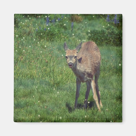 製造顔 マグネット (正面)