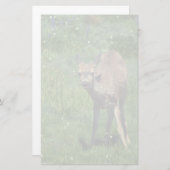 製造顔 便箋 (正面/裏面)