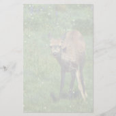 製造顔 便箋 (正面)