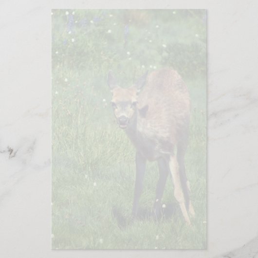 製造顔 便箋 (正面)