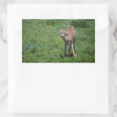 製造顔 長方形シール (バッグ)