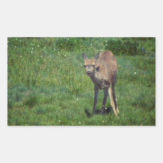 製造顔 長方形シール (正面)