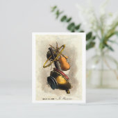 複合ポートレート:ミュージシャンヴィンテージ ポストカード (スタンド正面)