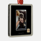 複数のダンプスター メタルオーナメント (右)