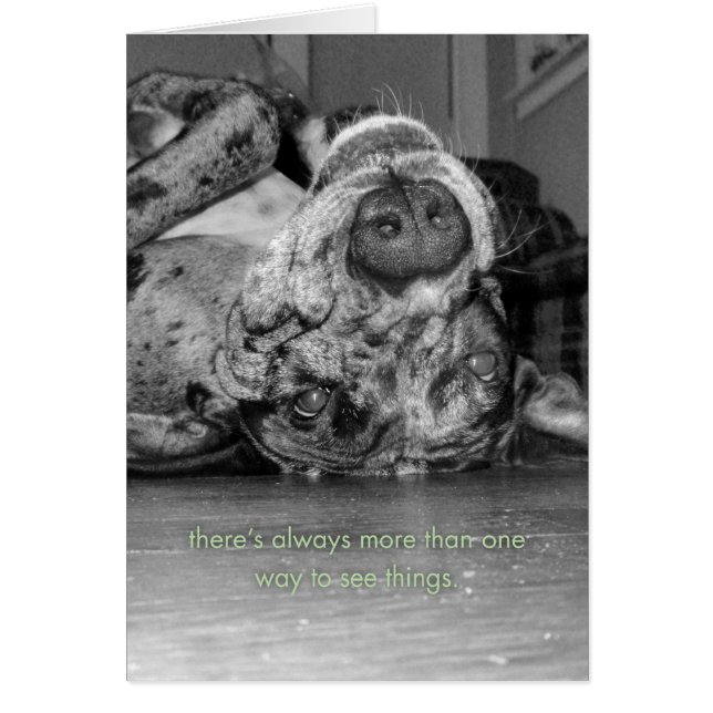 複数の方法 (正面)