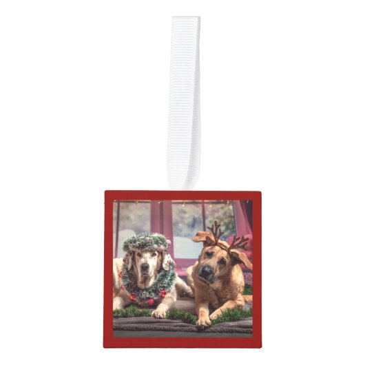 複数の犬の写真かわいいおもしろいChristメリーMUTTS キューブオーナメント (正面)