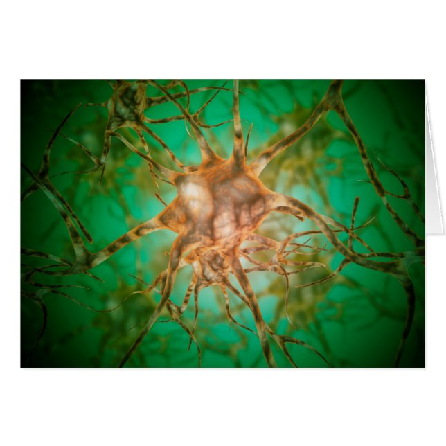 複数の神経細胞の顕微鏡的見解1 (正面横)