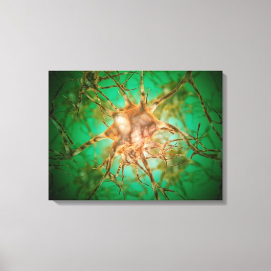 複数の神経細胞の顕微鏡的見解1 キャンバスプリント (正面)