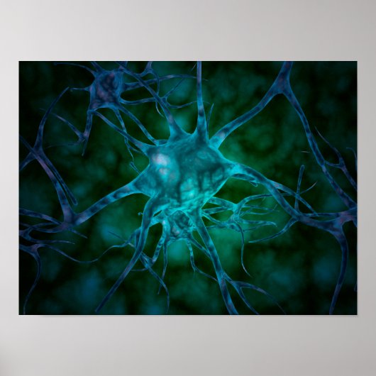 複数の神経細胞の顕微鏡的見解2 ポスター (正面)