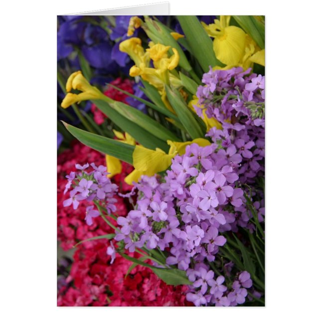 複数色の花 (正面)