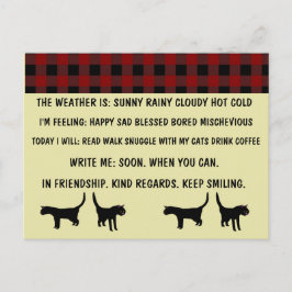 複数選択猫用はがき忙し（個人用） ポストカード