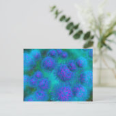 複球菌の顕微鏡的見解 ポストカード (スタンド正面)