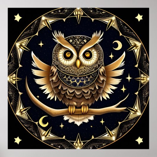 複雑な夜のフクロウのイラスト ポスター (正面)