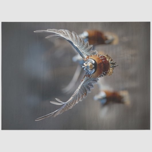 複雑な鳥を飛行中に分離する 薄葉紙 (正面)