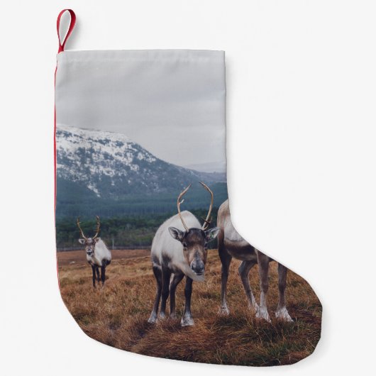 褐色の草原の上の褐色と黒の動物の群れ スモールクリスマスストッキング (正面)