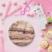 褐色ベピモダンア焦げオレンジ色の花崗岩 ペーパープレート (パーティー)