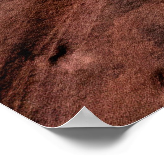 褐色岩層 ポスター (角)