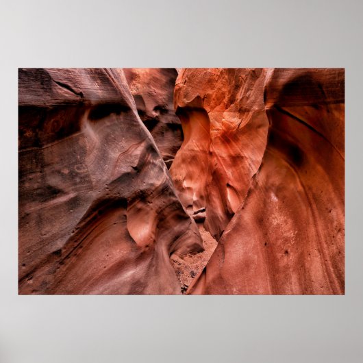 褐色岩層 ポスター (正面)