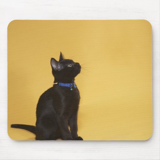 襟の黒い子猫 マウスパッド (正面)