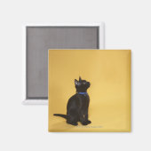 襟の黒い子猫 マグネット (正面/裏面)