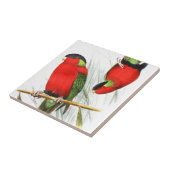 襟首をつかまれたLory タイル (側面)