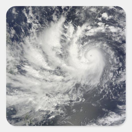 西に向かう台風パルマ スクエアシール (正面)