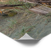 西のラプター2019 ポスター (角)