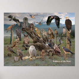 西のラプター2019 ポスター