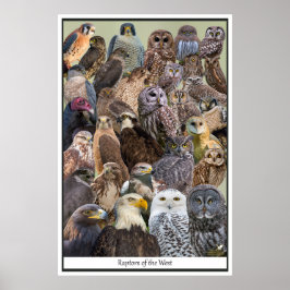 西の強奪者 ポスター