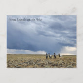 西の生きた伝説 – はがき (正面)