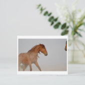 西の砂漠のユタの野生の馬 ポストカード (スタンド正面)