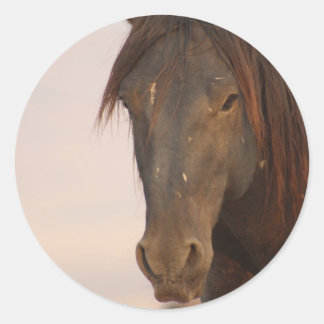 西の砂漠のユタの野生の馬 ラウンドシール