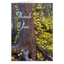 西の葉分岐点の黄金の道。ありがとうございます。