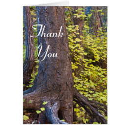 西の葉分岐点の黄金の道。ありがとうございます。