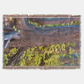 西の葉分岐点の黄金の道 スローブランケット (正面)