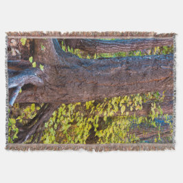 西の葉分岐点の黄金の道 スローブランケット