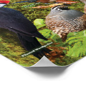 西の裏庭の鳥 ポスター (角)