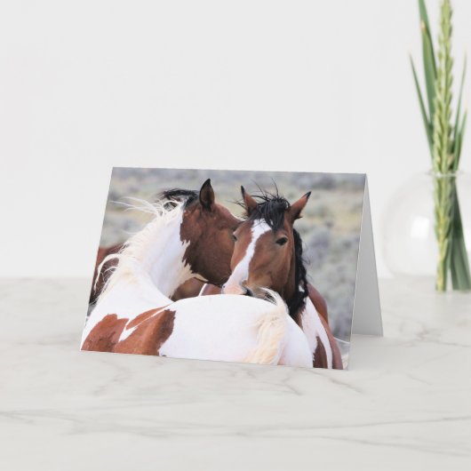 西の野生の口ひげ カード (正面)