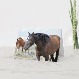 西の野生の口ひげ カード