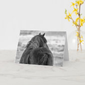 西の野生の口ひげ カード (黄色い花)