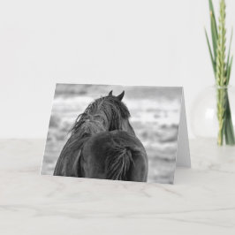 西の野生の口ひげ カード