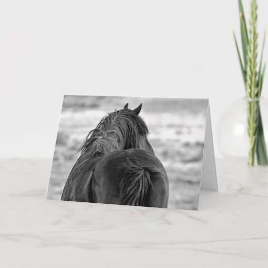 西の野生の口ひげ カード (正面)