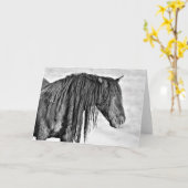 西の野生の口ひげ カード (黄色い花)