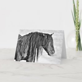 西の野生の口ひげ カード