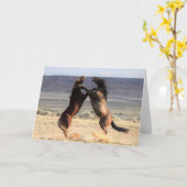 西の野生の口ひげ カード (黄色い花)