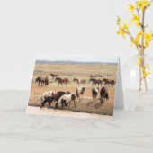 西の野生の口ひげ カード (黄色い花)